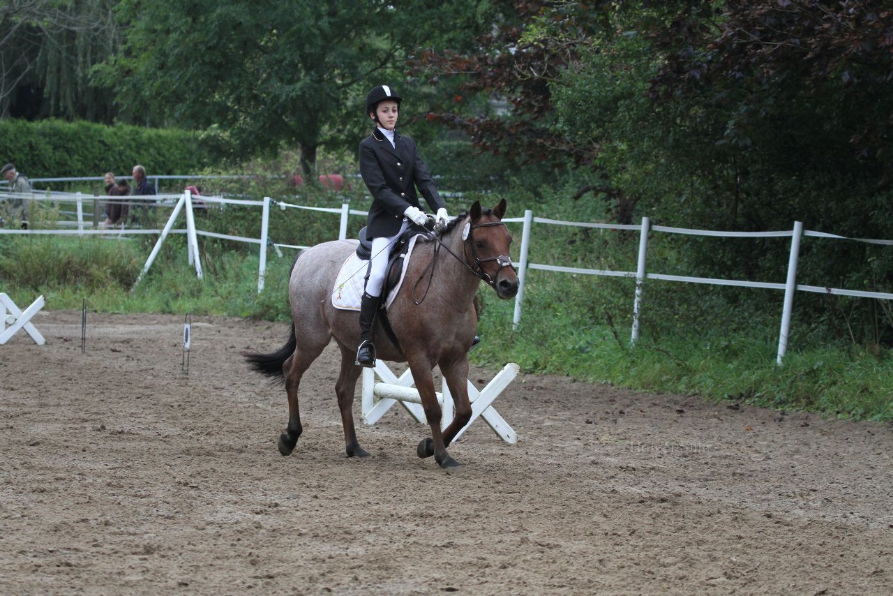Bild 264 - WBO-Turnier am 18.9.11